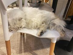 -小时光咖啡馆(北锣鼓巷店)