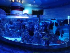 -成都浩海立方海洋公园