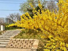 -元大都城垣遗址公园