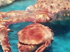 -盒马鲜生(十里堡店)