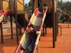 -枫香湖儿童公园