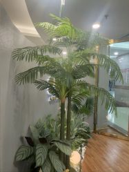 点击看大图 -八佰伴8008星级形象店