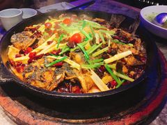 -老板恋上鱼(恒隆广场店)