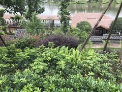 -枫香湖儿童公园