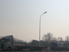 -塘沽森林公园