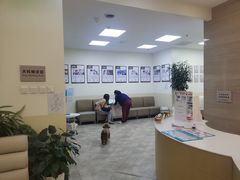 -美联众合动物医院·24h转诊中心