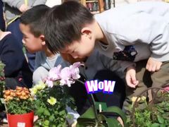 -高娃幼儿园