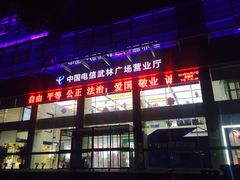 -中国电信(武林广场营业厅)