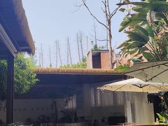 -云里小坐·小院里·团建·宴请·下午茶(三圣乡店)
