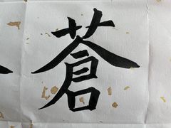 -曦辰书院·书法篆刻