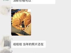 -良伴无忧宠物医院(泰欣嘉园店)