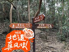 -狮子山郊野公园