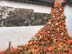 -青果巷历史文化街区