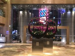 -广州粤海喜来登酒店