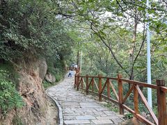 -大岭沟猕猴桃谷风景区