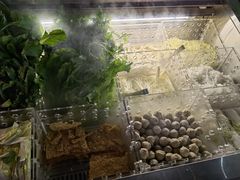 -庄子梦然·城市微度假·24h按摩·推拿·spa