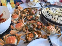 -半岛听涛蒸汽海鲜自助(K11店)