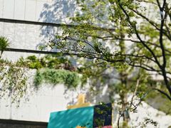 -深圳湾万象城(南山店)