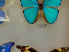 -大连自然博物馆