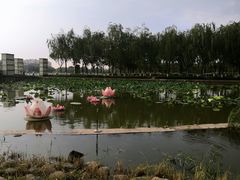 -廊坊文化艺术中心