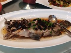 -小白鲨工夫潮膳(曲江店)