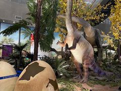 -湖南省地质博物馆