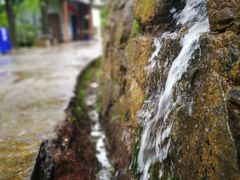 -王顺山国家森林公园