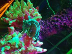 -沈阳海洋探索中心