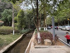-火炉山森林公园