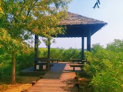 -西青郊野公园