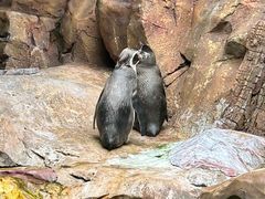 -长鹿旅游休博园