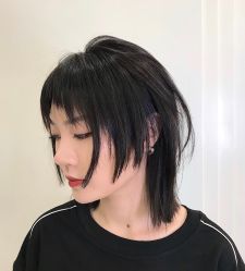 -可可丽舍