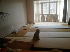 -仰生如卉推拿养生馆(酒仙桥店)