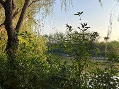 -塘沽森林公园