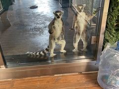 -武清南湖绿博园