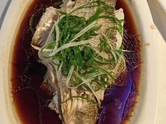 -云中小雅