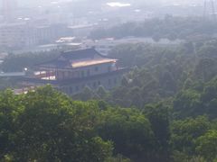 -四望岗公园