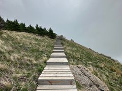 -白草畔自然风景区