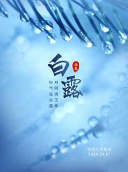 -雅曼妮spa美容养生