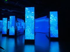 -上海体育博物馆