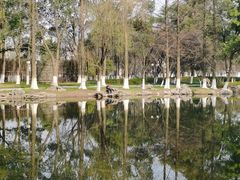 -范蠡湖公园