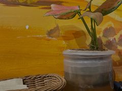 -盘炉forenza·云贵川融合小食堂 ( 钟楼中柳巷店)