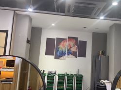 -心联形象设计·流星染