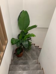 -荟美·美甲美睫·产后修复·美容美体