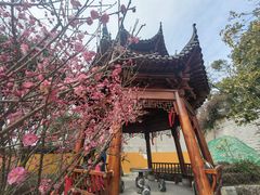 -宝通禅寺