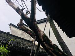 -乌镇东栅景区-江南百床馆