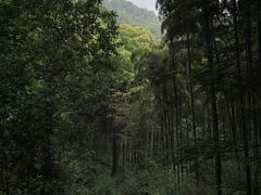 -东明山森林公园