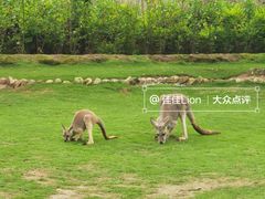 -泉州海丝野生动物世界
