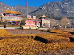 -天津盘山风景名胜区