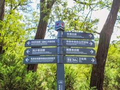 -延安杨家岭革命旧址